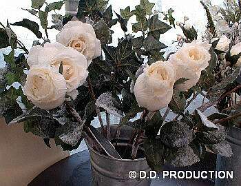 bloemenromantiek.jpg