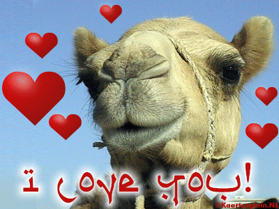 liefde6.gif