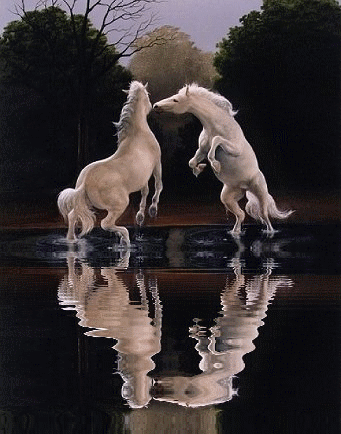 paardenromantiek.gif
